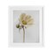 Stupell Industries Simple Beauty Soft Flower Framed Print Under Glass, design by Lori Deiter